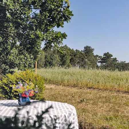 Connect In A Cosy Wooden 펜션